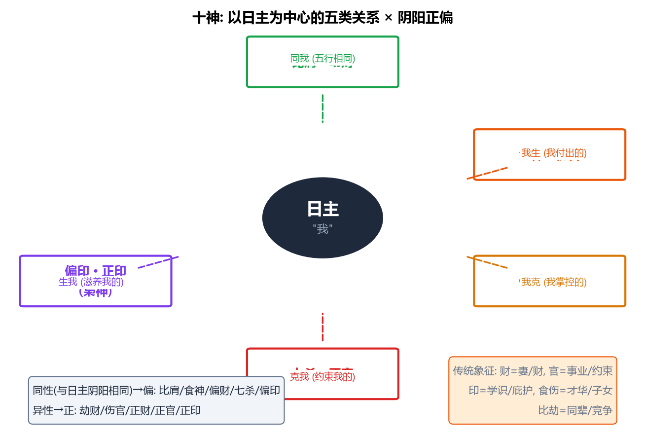 十神关系网络